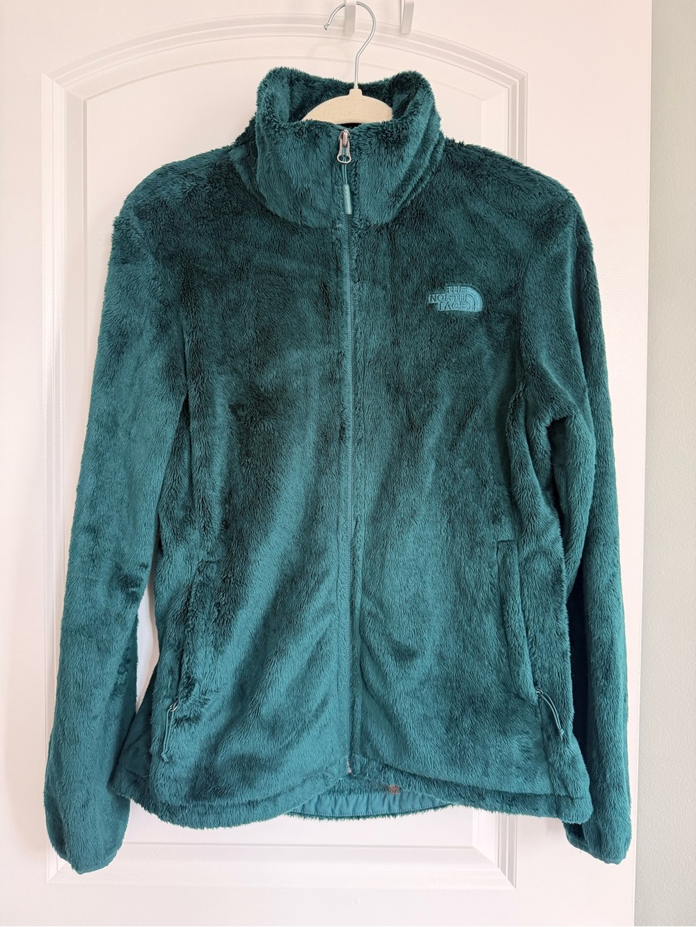 The North Face Deep Teal Plush Full-Zip Fleece Jacket